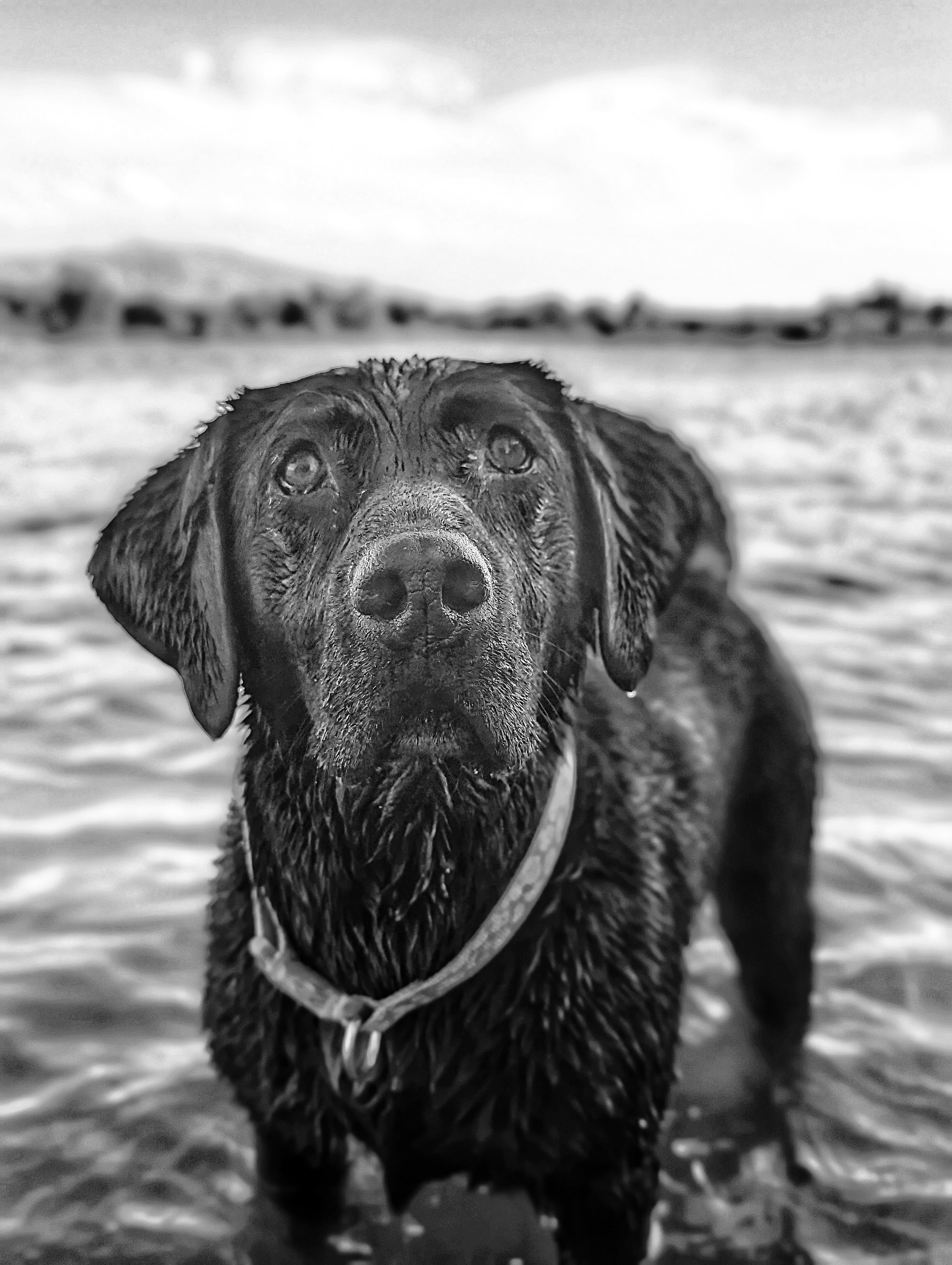 PXL_20230719_003736820_exported_1689727280186